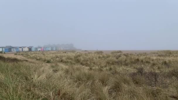 Beach Huts Misty Winter Coastline Grassy Sand Dunes Foggy Grey — 비디오