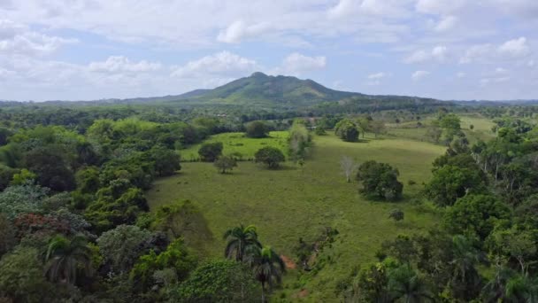 Forest Bordering Open Field Mountain Cloudy Skies Background Bayaguana Dominican — Stockvideo