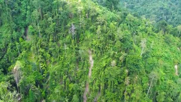 Aerial View Hilly Area Tondo Village Palu Bay Located Central — Vídeo de Stock