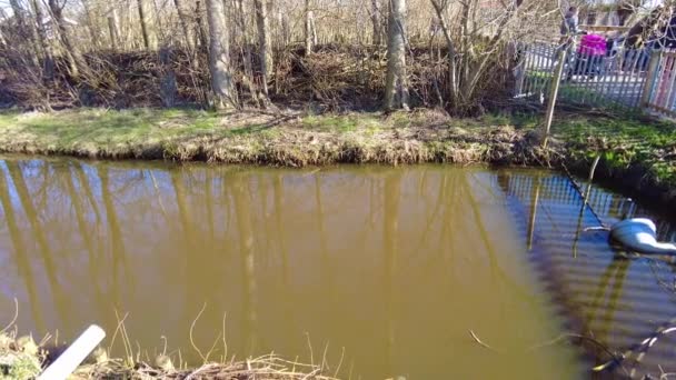 Slow Pan Right View Muddy Brown Ditch Water Local Park — Vídeos de Stock