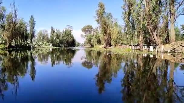 Tiemelpase Het Beschermde Gebied Xochimilco — Stockvideo