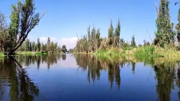 Timelapse Peaceful Morning Xochimilco — Stock Video