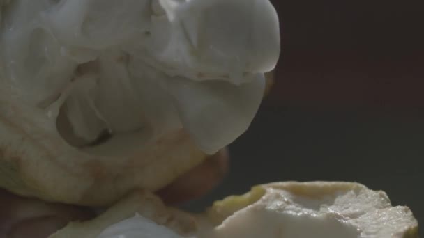 Een Cacaopod Openen Witte Bonen Dit Supervoedsel Bloot Leggen Van — Stockvideo