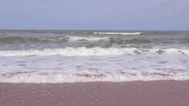 Olas Del Mar Del Norte Lavan Playa Arena Ostende Bélgica — Vídeo de stock