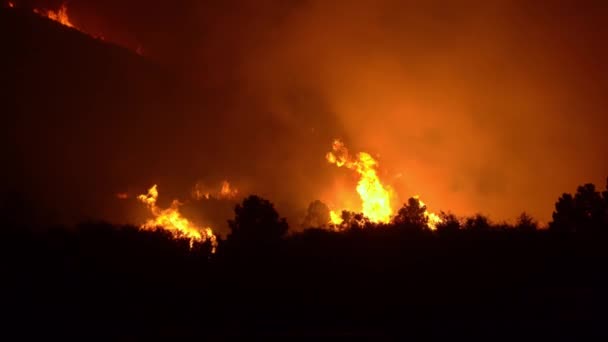 Ardientes Incendios Forestales Llamas Las Tierras Altas Durante Oscuridad Noche — Vídeos de Stock