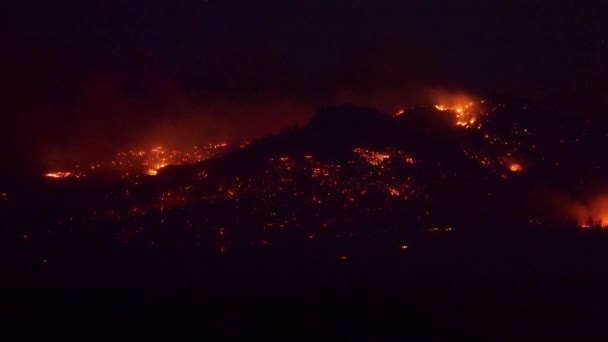燃烧着的森林地板 野火的灰烬在暮色中闪耀 静止的风景 — 图库视频影像