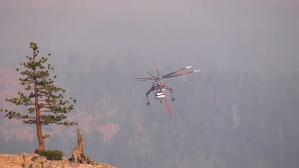 Hélicoptère Pompier Survolant Lac Tout Luttant Contre Les Incendies Forêt — Video