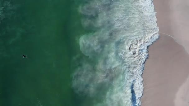 Pessoa Nadando Com Prancha Surf Mar Blouberg Cidade Cabo África — Vídeo de Stock