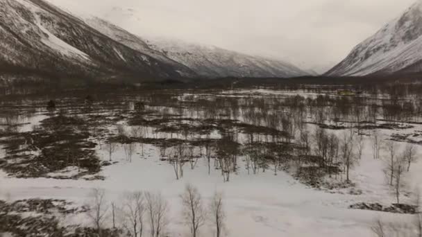 Aerial Snowy Valley Freezing Winter Conditions Signaldalen — 비디오