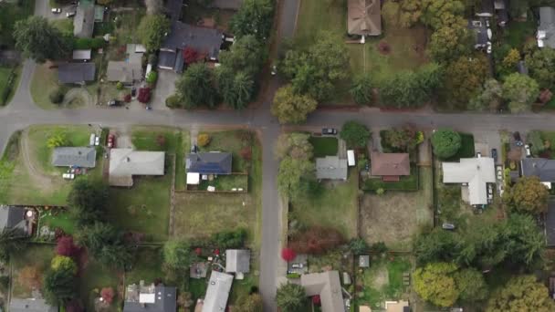 Top View Idyllic Neighborhood Lakewood Washington State Aerial Topdown — Video