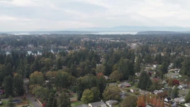 Lush Trees Surrounded Lakewood Settlements Washington United States Aerial Shot — Video Stock