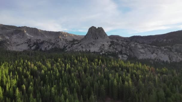 Vista Aérea Del Bosque Las Montañas Mammoth Lakes California Estados — Vídeos de Stock