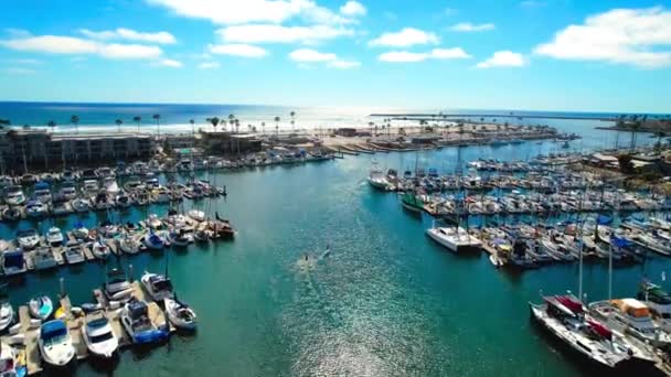 Oceanside Boats Docked Harbor Drone — Wideo stockowe