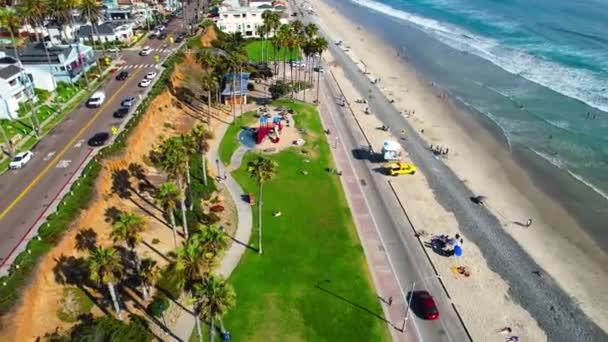 Oceanside Beach Park Met Palmbomen — Stockvideo