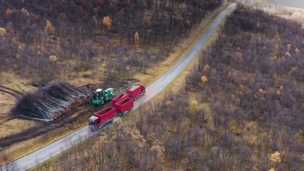 Wood Harvester Picks Processes Fallen Trees Loads Truck Mulch Aerial — Stock Video