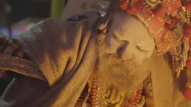 Retrato Sadhu Com Rosto Ash Manchado Anoitecer Templo Kedarnath Uttarakhand — Vídeo de Stock