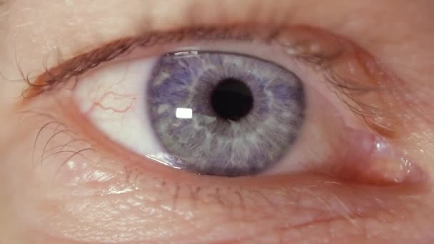 Extreme Nahaufnahme Eines Gesunden Menschlichen Auges Mit Blauer Iris — Stockvideo