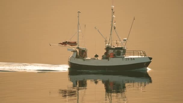 穏やかなフィヨルドの水の中をゆっくりと移動する小さな漁船は 目覚め に水の歩道を残します スローモーション パンフォロー — ストック動画