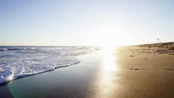 Walking Beach Warm Peaceful Morning Sunshine Ocean Waves Crash Golden — Vídeo de Stock