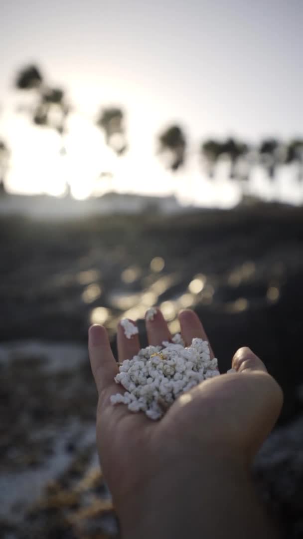 Feeling Popcorn Stones Playa Del Bajo Fuerteventura Verticals — стокове відео