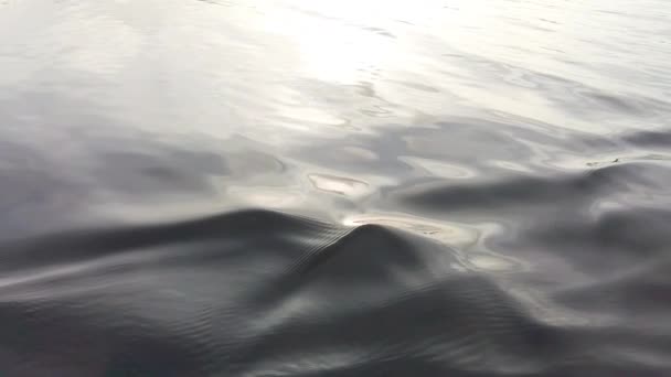 Ondas Cámara Lenta Con Luz Dorada Atardecer — Vídeos de Stock