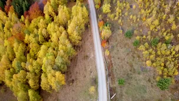 秋天无人驾驶飞机飞越阿普塞尼山脉的山路 — 图库视频影像