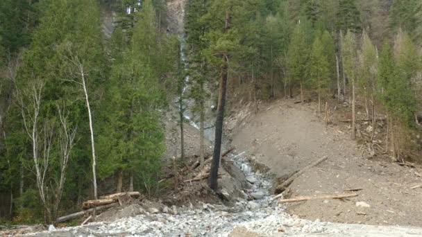 Tembakan Statis Dari Sungai Pegunungan Sempit Mengalir Antara Hutan Lebat — Stok Video