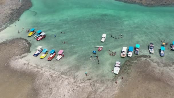 Recifes Coral Piscinas Naturais Praia São Miguel Dos Milagres Alagoas — Vídeo de Stock