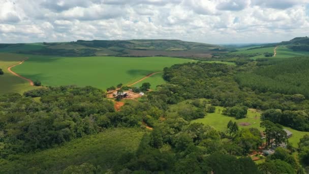 Brasiliansk Gård Med Betesmark Och Gröna Fält Och Moln Himlen — Stockvideo