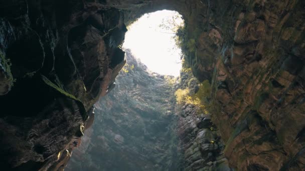 Woda Kapie Ścian Brazylijskiej Jaskini — Wideo stockowe