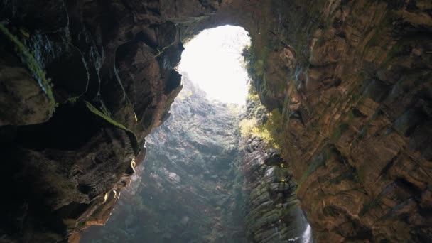 Niesamowita Kamienna Ściana Jaskini Roślinnością Kapie Woda Patrząc Górę — Wideo stockowe