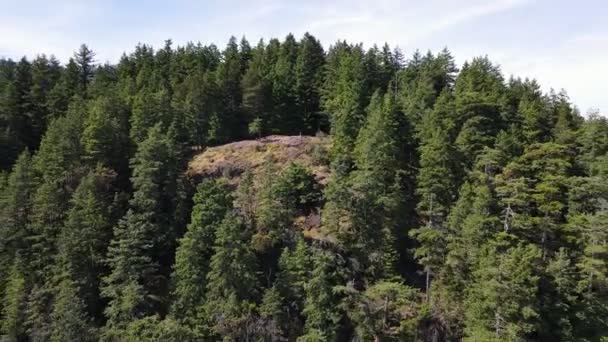 Baumgesäumter Gipfel Des Soames Hill Der Wunderschönen Gegend Von Gibsons — Stockvideo