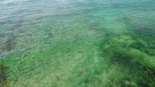 España Islas Canarias Playa Coralejo — Vídeo de stock