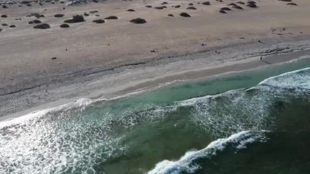 Spain Canary Islands Beach Coralejo — Stock video