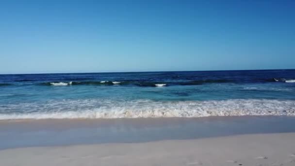 Spanska Kanariefåglar Strand Coralejo — Stockvideo