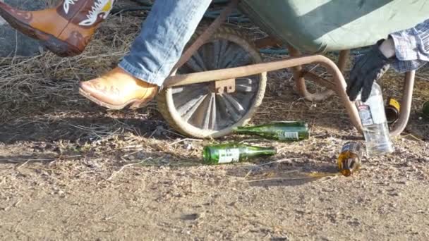 Drunken Cowboy Passed Out Wheel Barrow — Stock Video