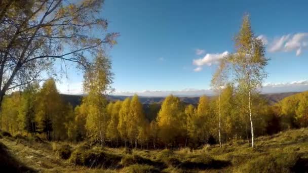 秋天的树木和云彩经过的时间流逝4K视频 — 图库视频影像