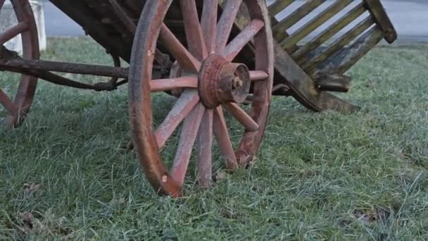 Old Horse Carriage Grass — Wideo stockowe