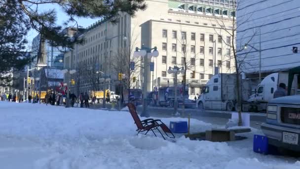 Trottoir Sur Rue Wellington Pendant Rassemblement Des Camionneurs Journée Liberté — Video