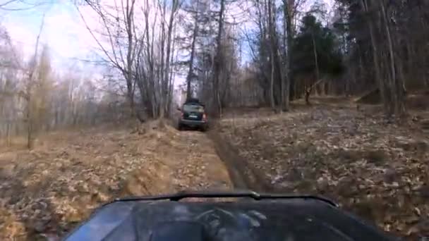 Coches 4X4 Montando Través Del Bosque Fangoso Gopro Vista Ventana — Vídeos de Stock