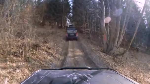Позашляхові Автомобілі Їздять Багнистих Лісах Gopro Вікні — стокове відео