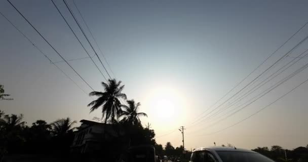 Bike Pot Trees Passing Wide Shot Blue Sky Mumbai Virar — Stok video