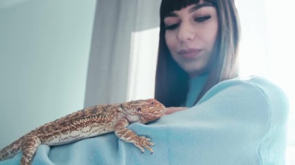 Young Millennial Woman Play His Pet Lizard Standing Her Arms — Stock Video