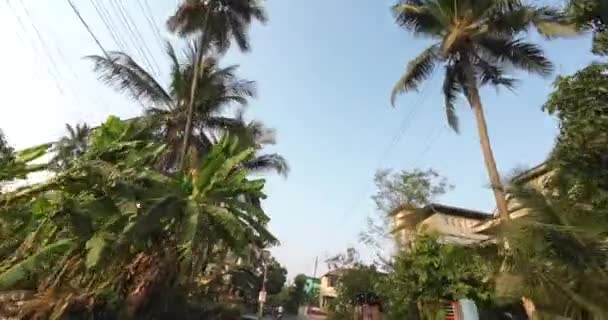 Bike Pot Trees Passing Wide Shot Blue Sky Mumbai Virar — Stok video