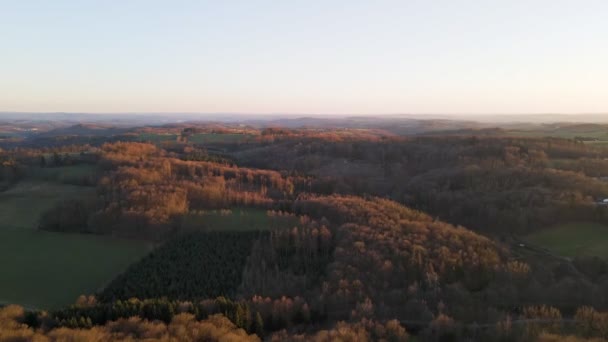 Drone Footage Vast Deciduous Forest Germany Winter Aerial Fly Shot — стоковое видео