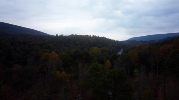 Aerial Dolly Flying Colorful Tree Tops Dense Autumnal Woodland Hills — Stockvideo