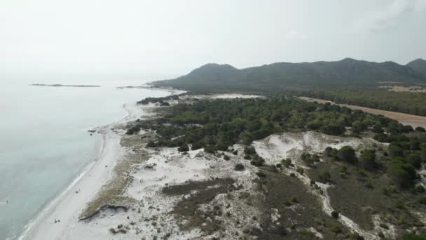 Aerial Drone Video Plaży Wydmami Morzu Śródziemnym Sardynia Capo Comino — Wideo stockowe