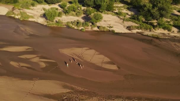 Family Walking River Shores Cordoba Argentina Aerial Top Circling — 비디오