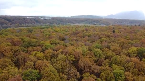 Tiro Dron Retrocediendo Del Bosque Otoñal Con Hojas Coloridas Horizonte — Vídeo de stock