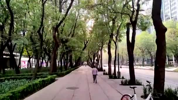 Tiemelapse Offices Zone Mexico City — Video